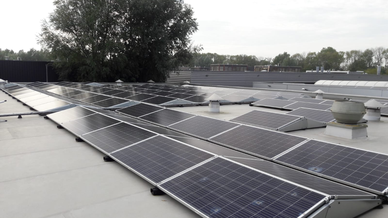 Zonnepanellen Kraan Vlees 1