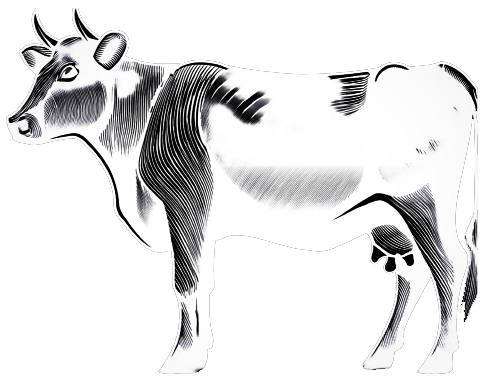 Tekening rund waards vlees
